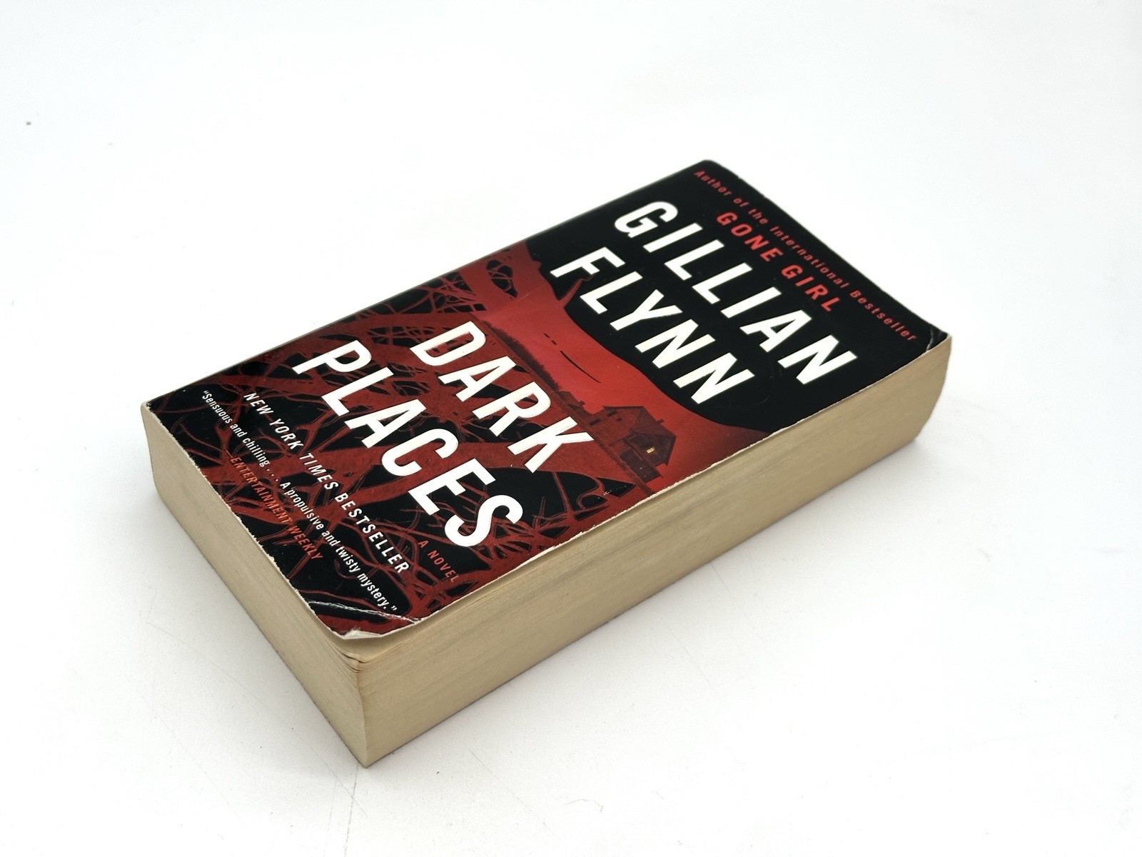 Dark Places : A Novel by Gillian Flynn (2018, Us-Tall Rack Paperback)
