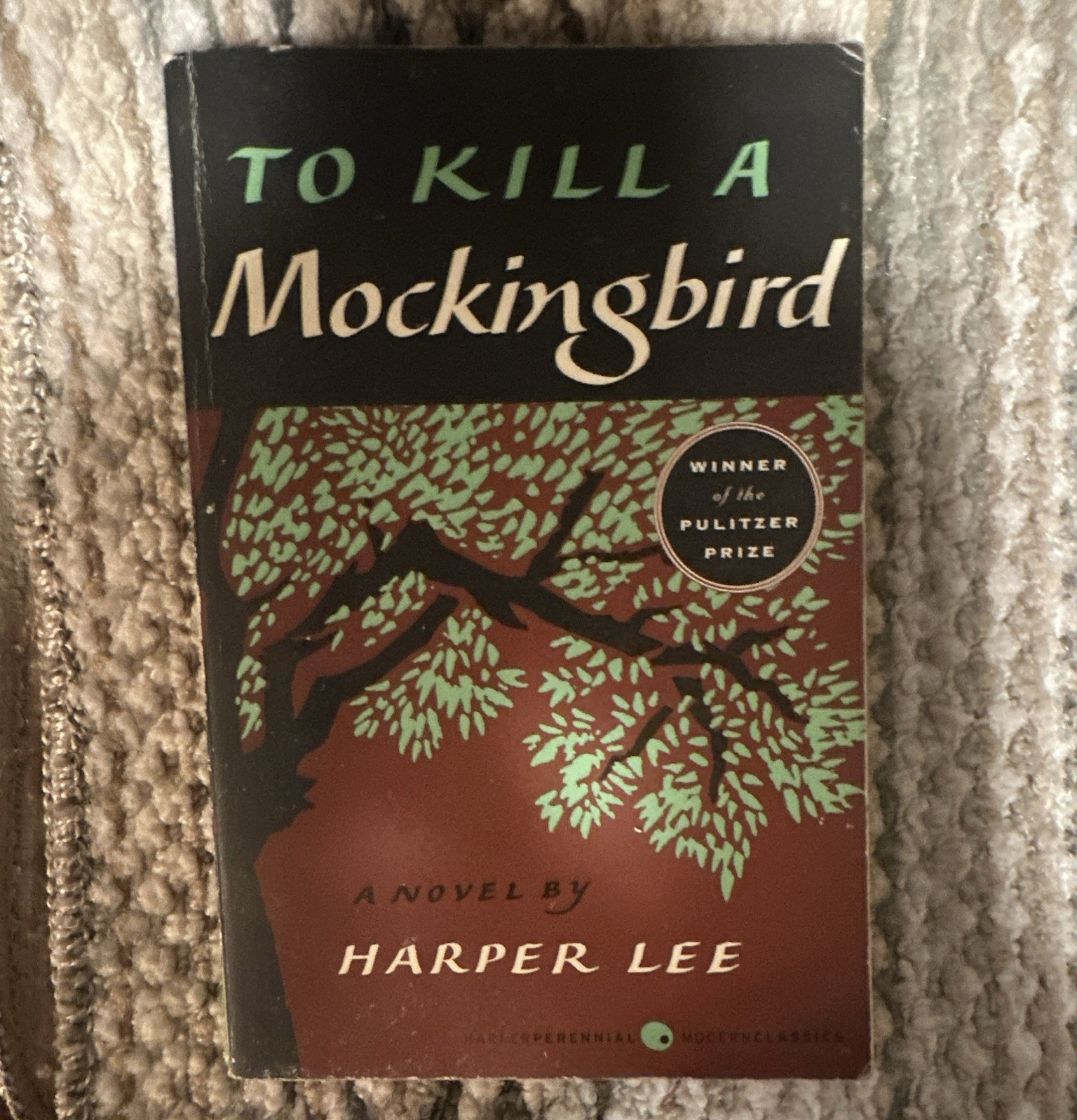 Harper Lee To Kill a Mockingbird Paperback Novel, English Fiction Classic Adult