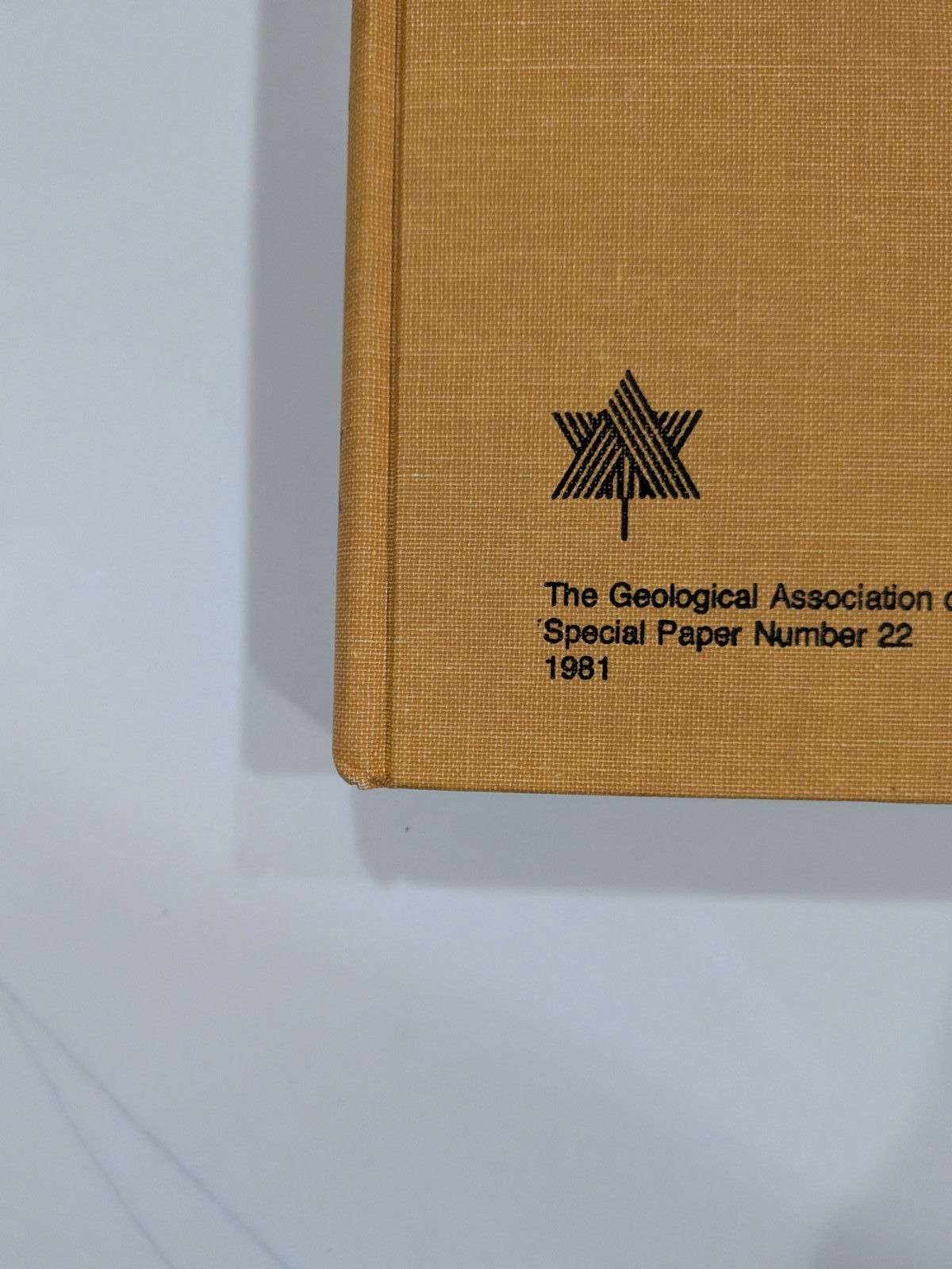 The Buchans Orebodies | 1981 GAC Special Paper 22 | Mining Geology Hardcover