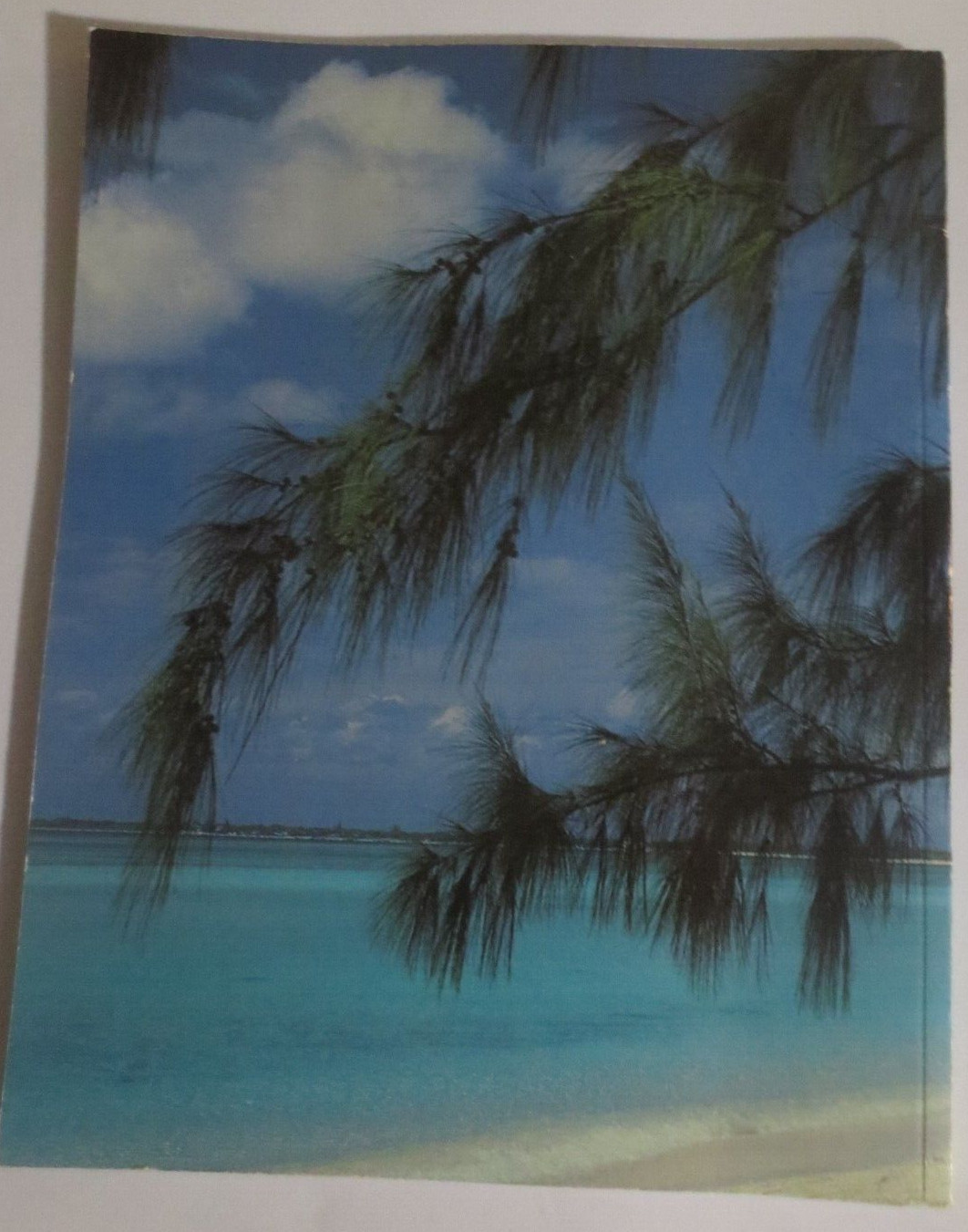 Beautiful Isles Cayman by Paul Humann Paperback book 104 Pages 11.5 X 9 Inch
