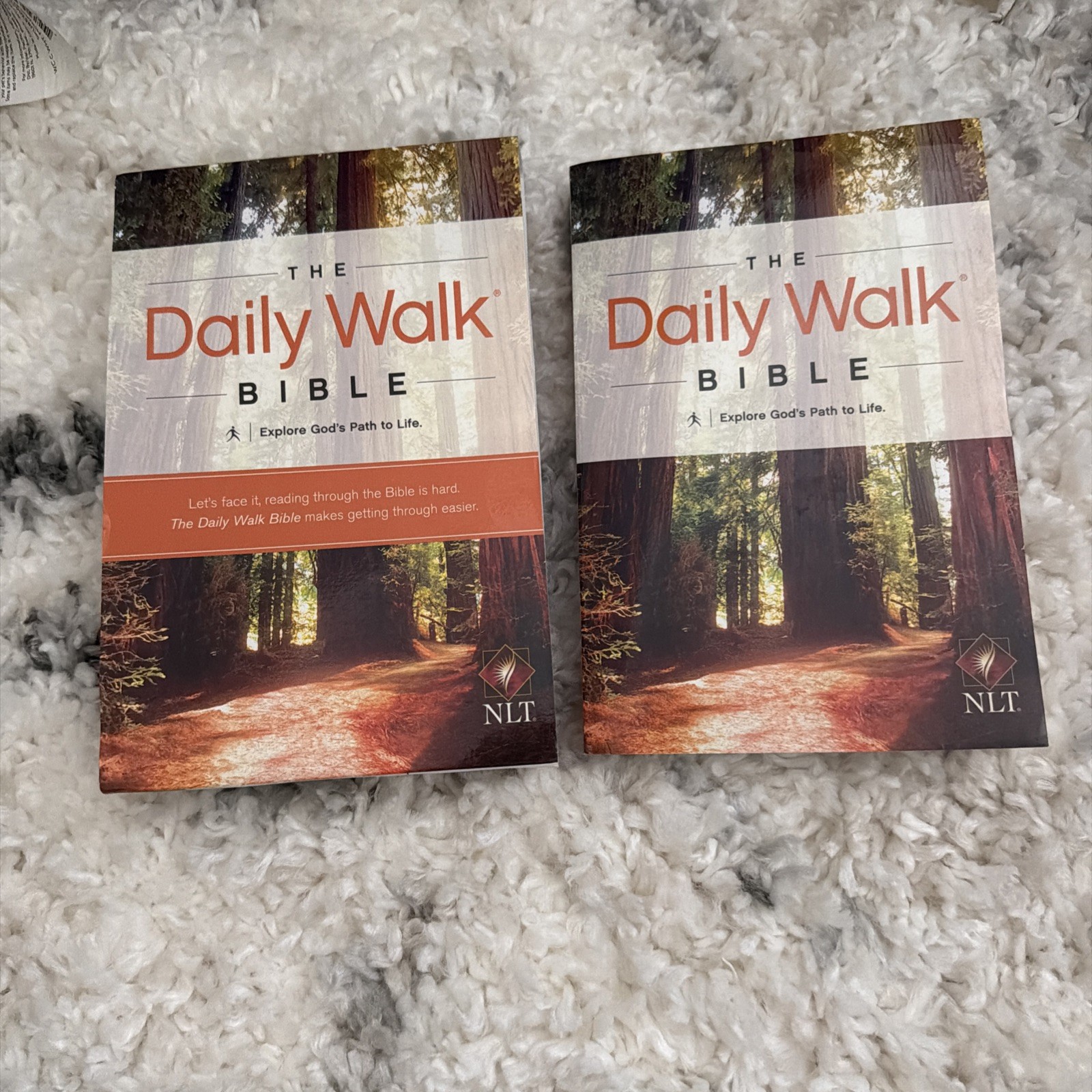 The Daily Walk Bible NLT by Tyndale 2013 Christian Religion Spirituality Book PB