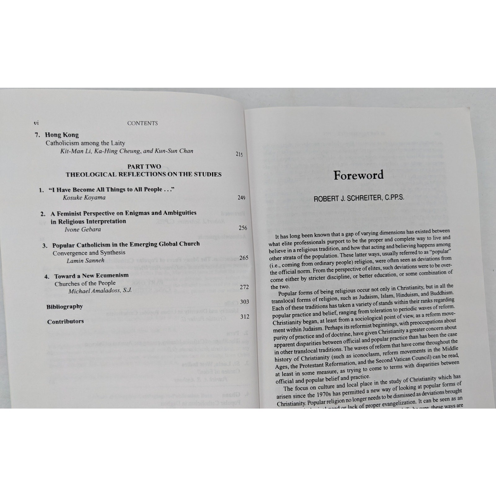 Popular Catholicism In A World Church Seven Case Studies In Inculturation 1999