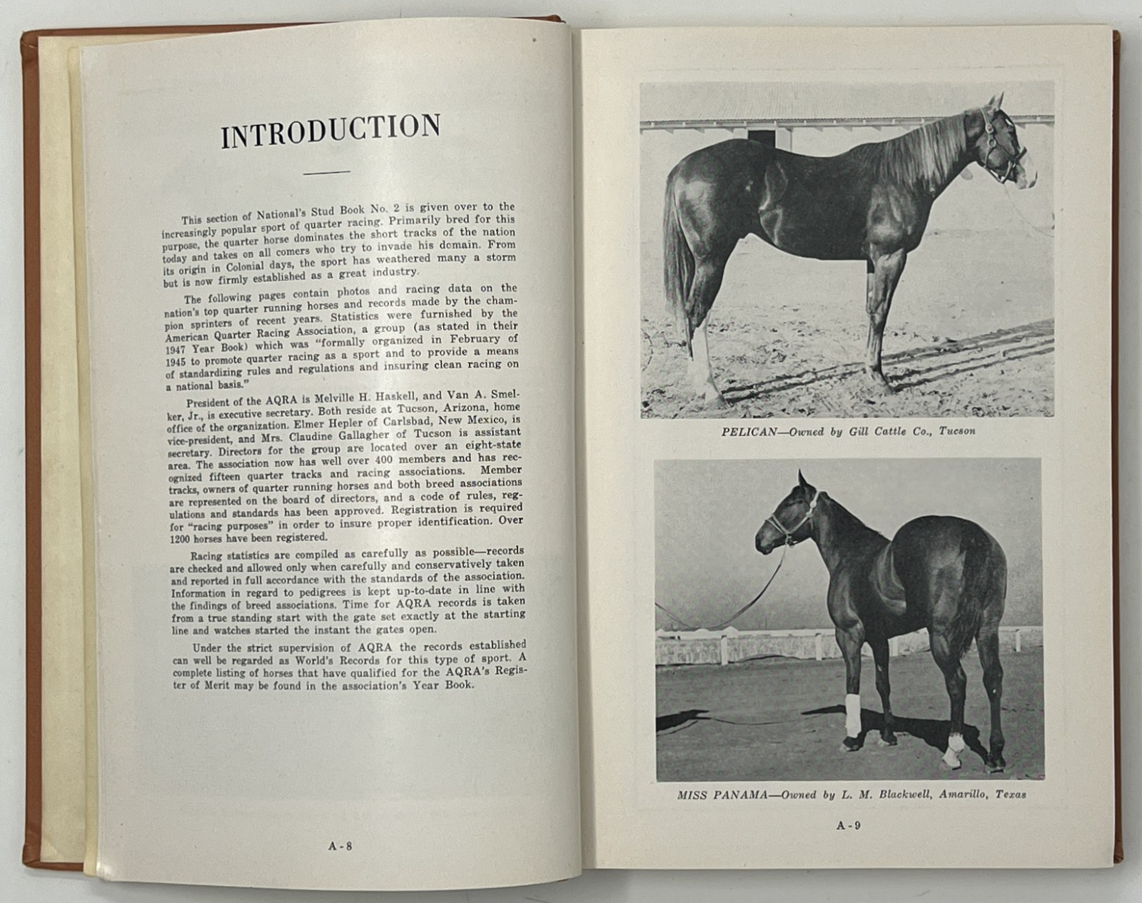 EQUESTRIAN / HORSES: N.Q.H.B.A. Permanent Stud Book: No. 1 & 2 – 1947/1948 HCs