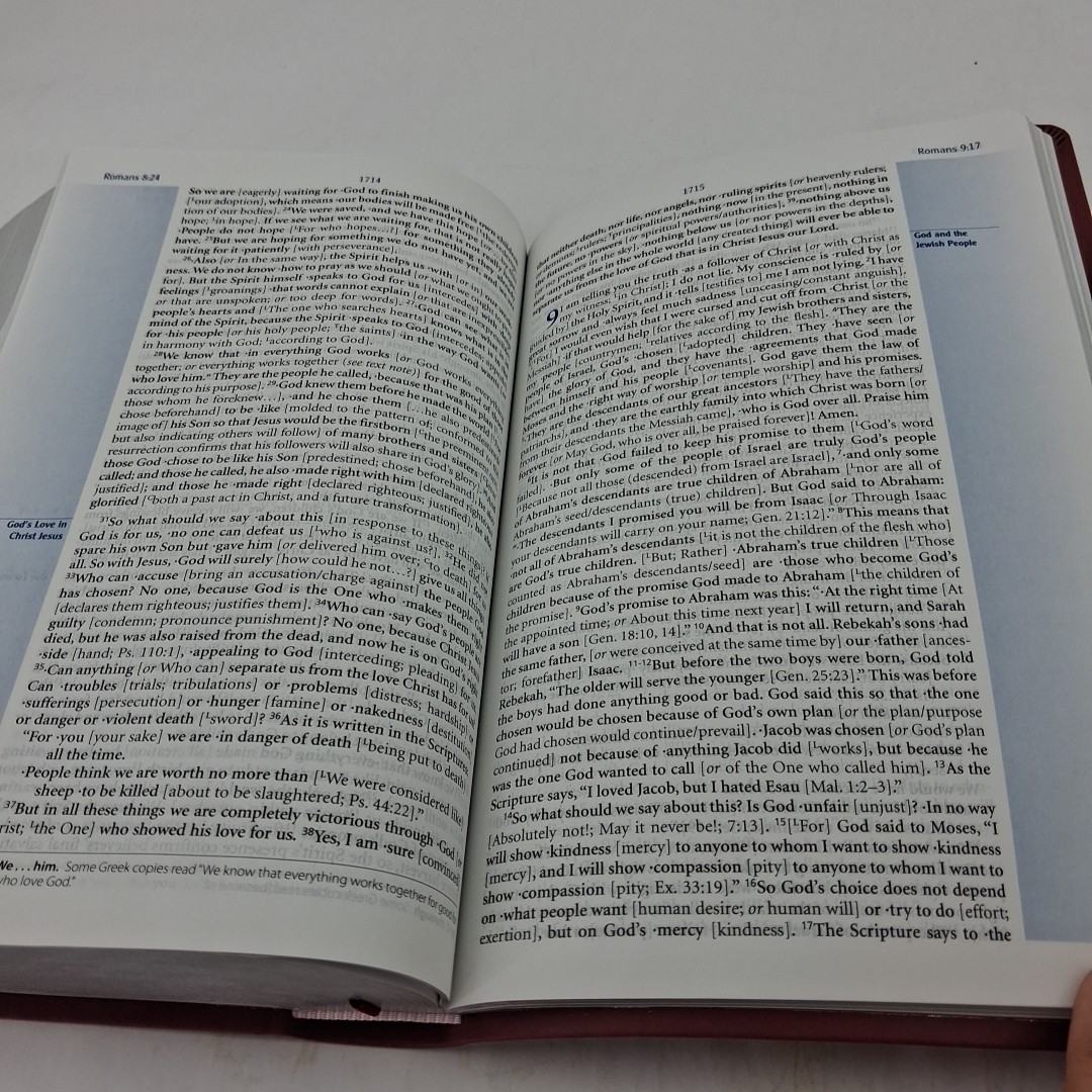 The Expanded Bible – Chestnut, Leathersoft, 2011 Thomas Nelson **BRAND NEW**