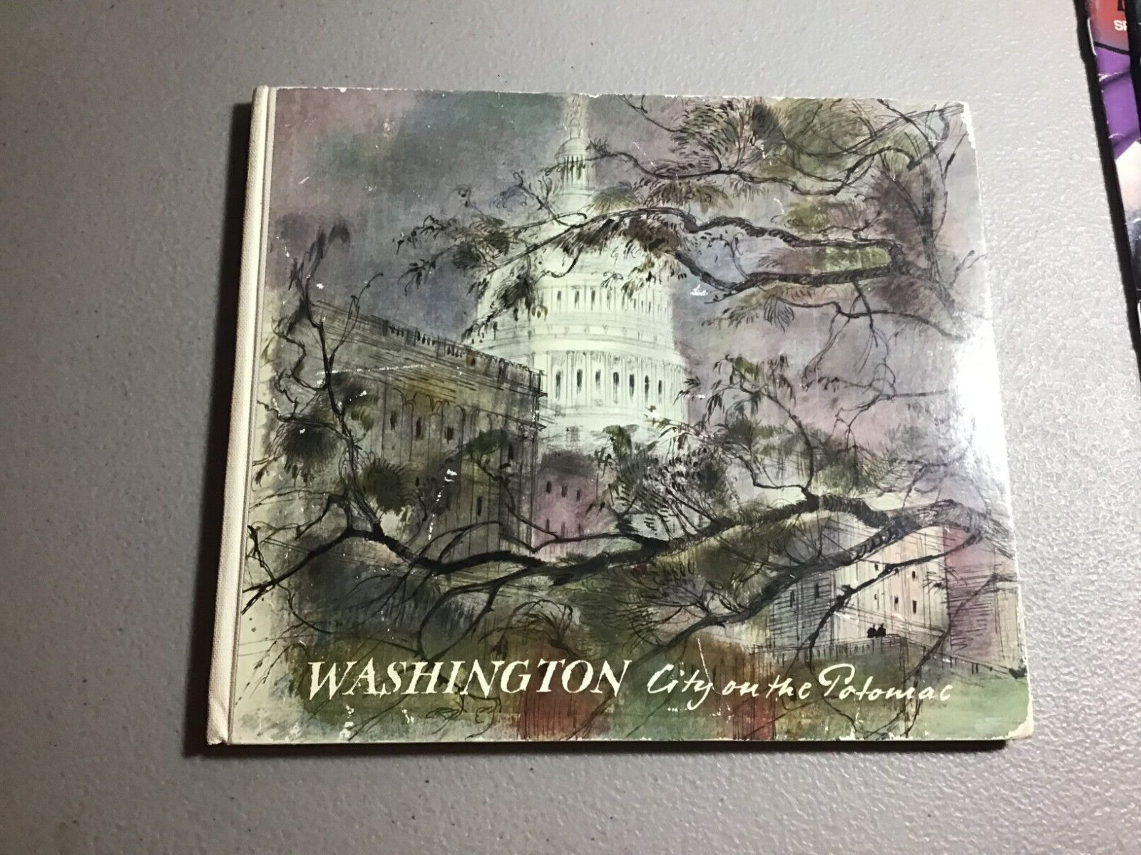 Washington City on the Potomac