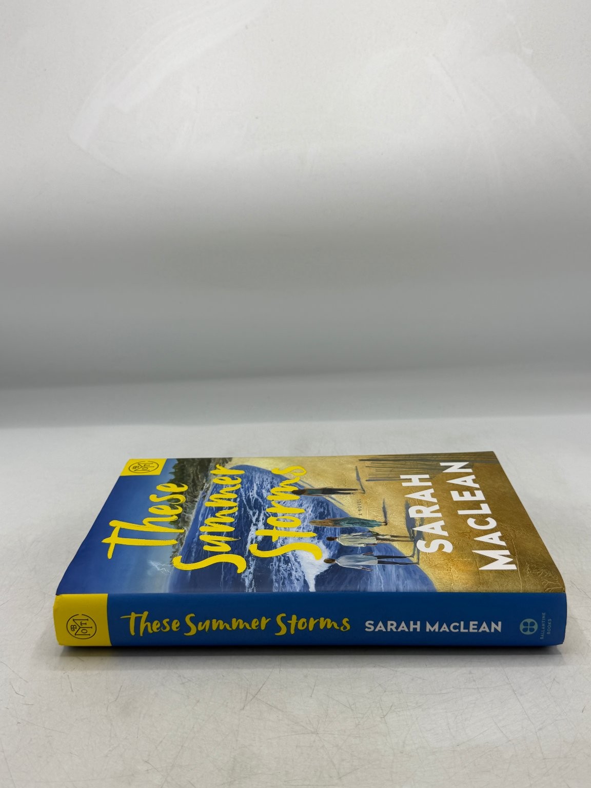 These Summer Storms Sarah MacLean 2025 Novel Book of the Month Hardcover