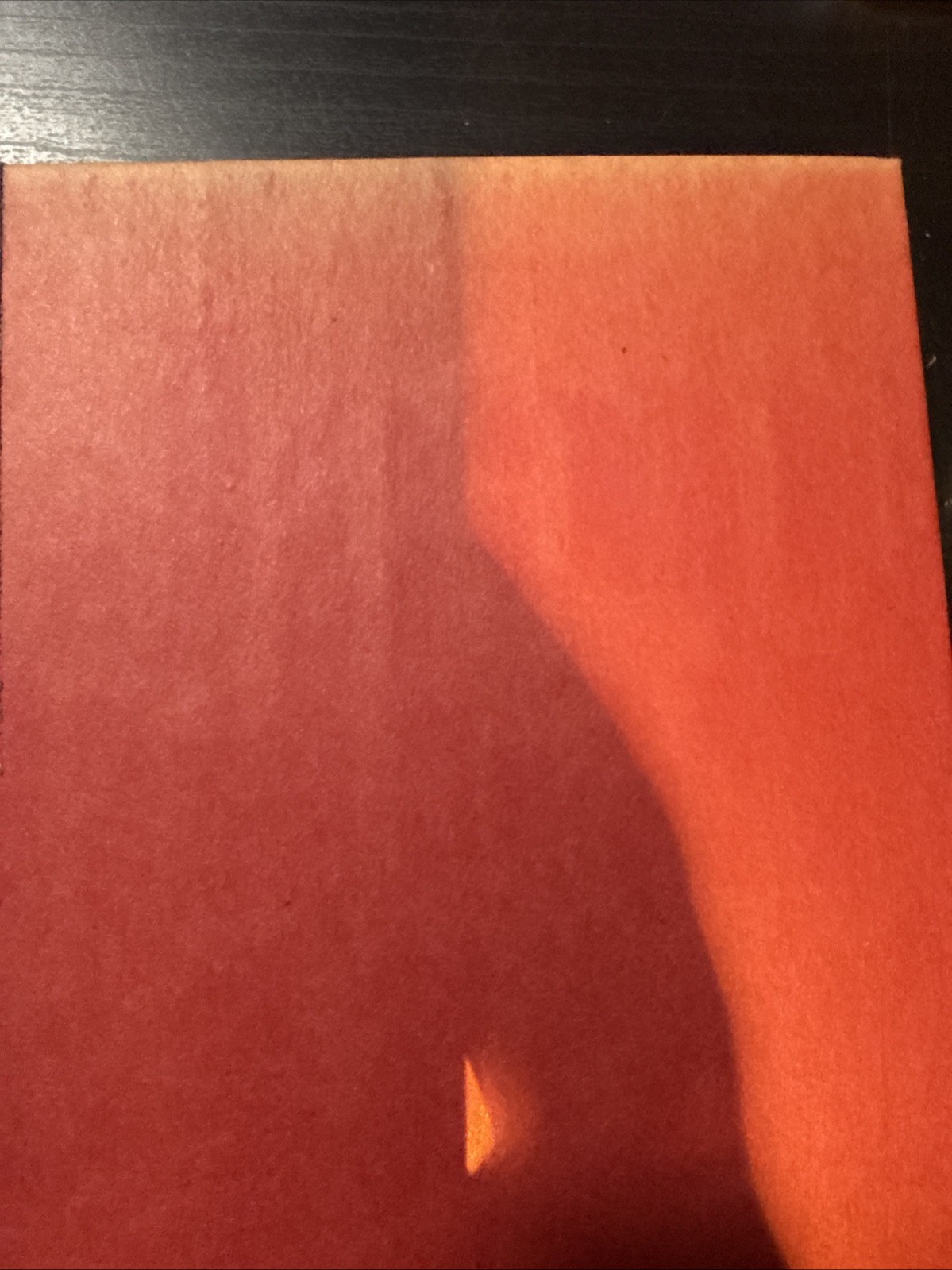 Joan Didion The White Album Hardcover