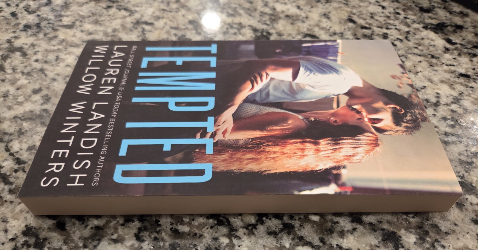 Tempted: A Bad Boy Next Door Soft Cover Lauren Landish & Willow Winters Book