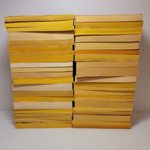 Vintage Lot Of 41 Andre Norton PB Books Fantasy Sci-fi Witch Occult 1950s-80s VG