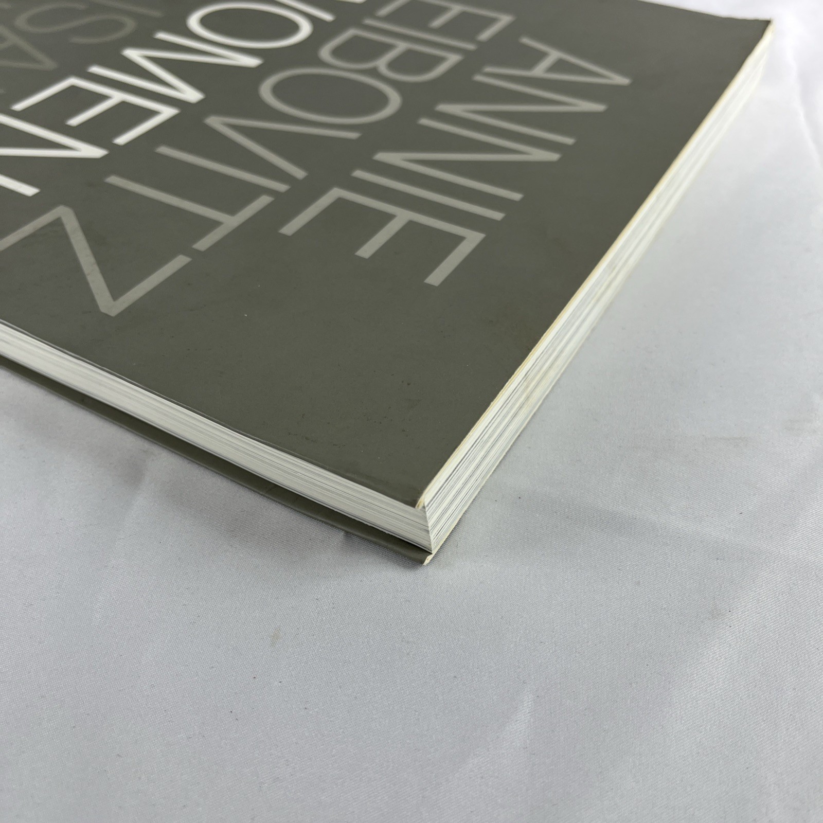 Women Annie Leibovitz Susan Sontag Softcover 1st Edition Book 1999 Coffee Table