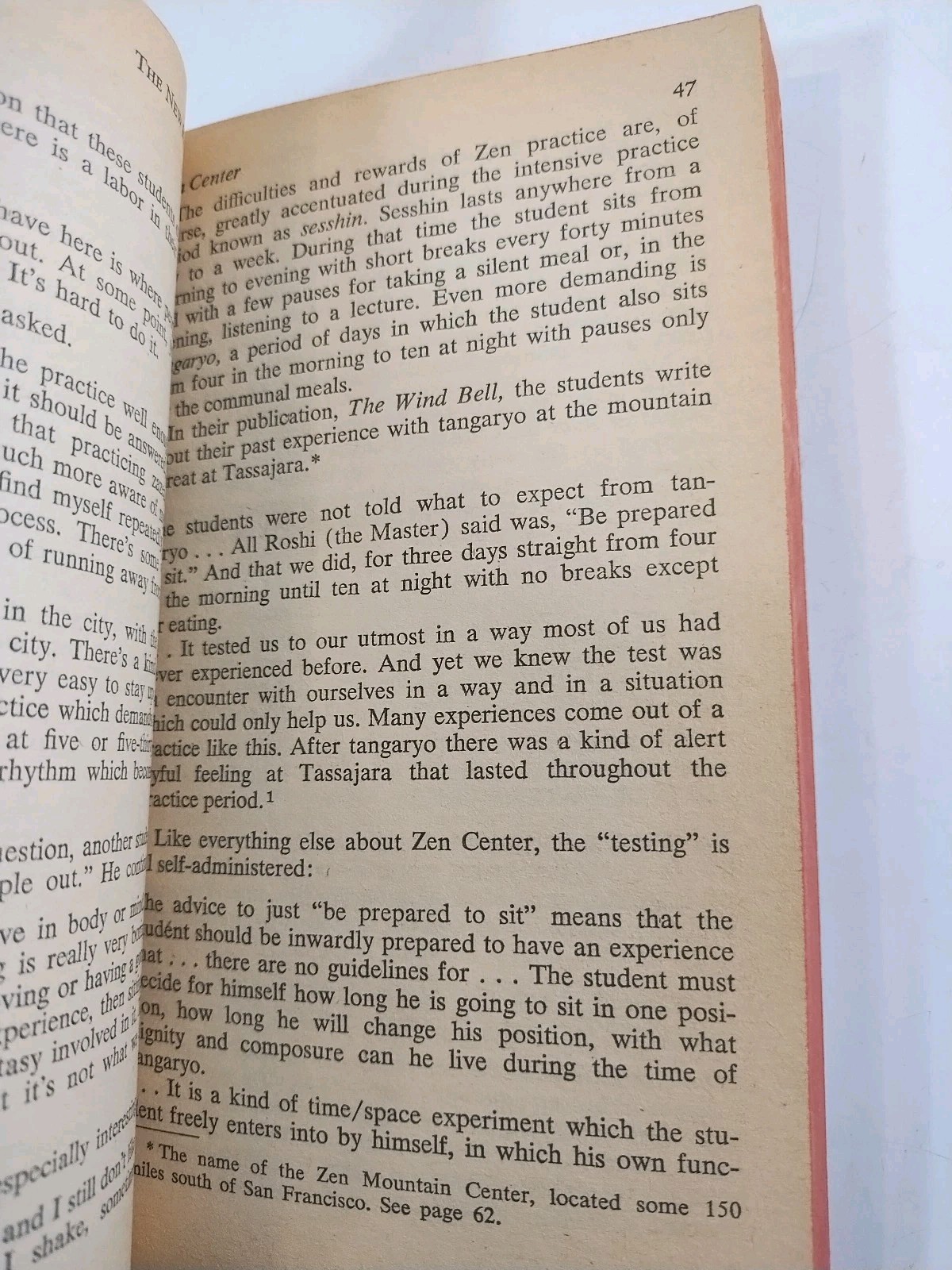 The New Religions by Jacob Needleman ~ 1974 Vintage Paperback ~ Pocket Books Vtg