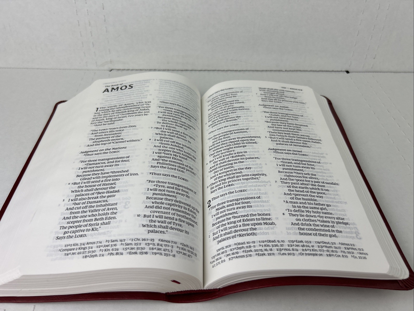 NKJV Holy Bible New King James Version Red Leather-Soft GIANT PRINT Reference