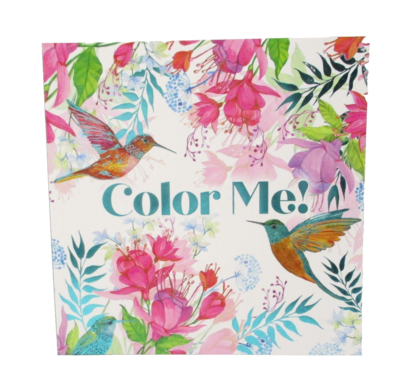 Adult Coloring Book Color Me 80+pages intricate designs patterns