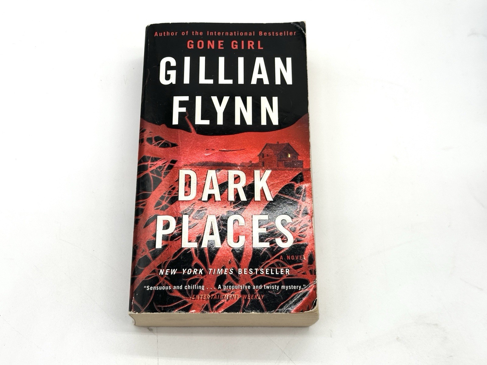 Dark Places : A Novel by Gillian Flynn (2018, Us-Tall Rack Paperback)
