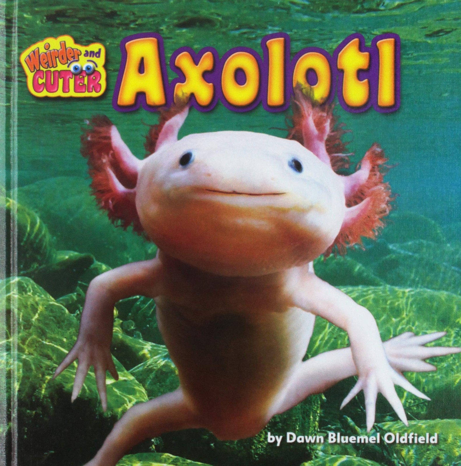 Axolotl (Weirder and Cuter)