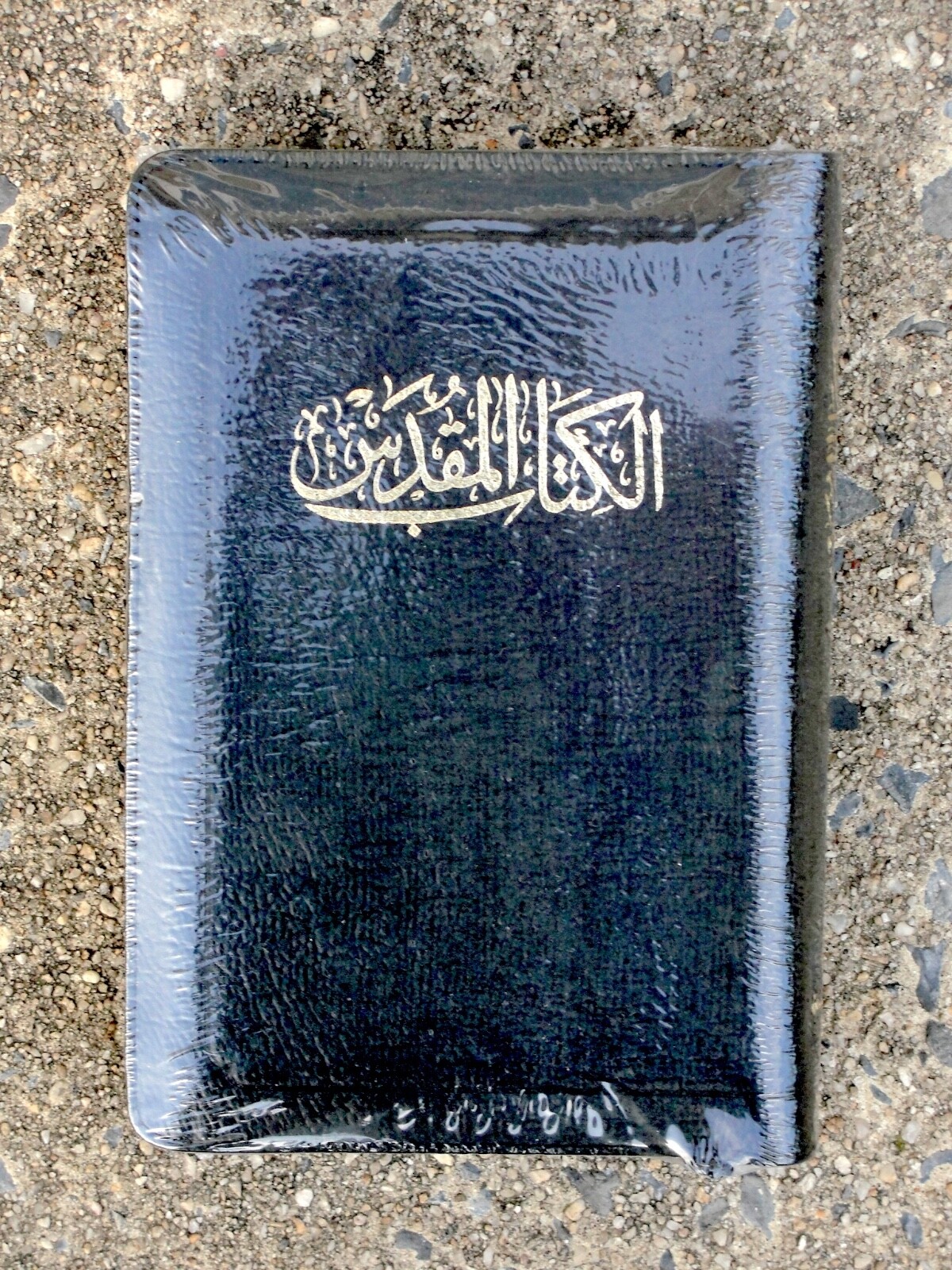 Arabic Bible, New Van Dyck Version, Black Leather Zipper, Classical, Medium