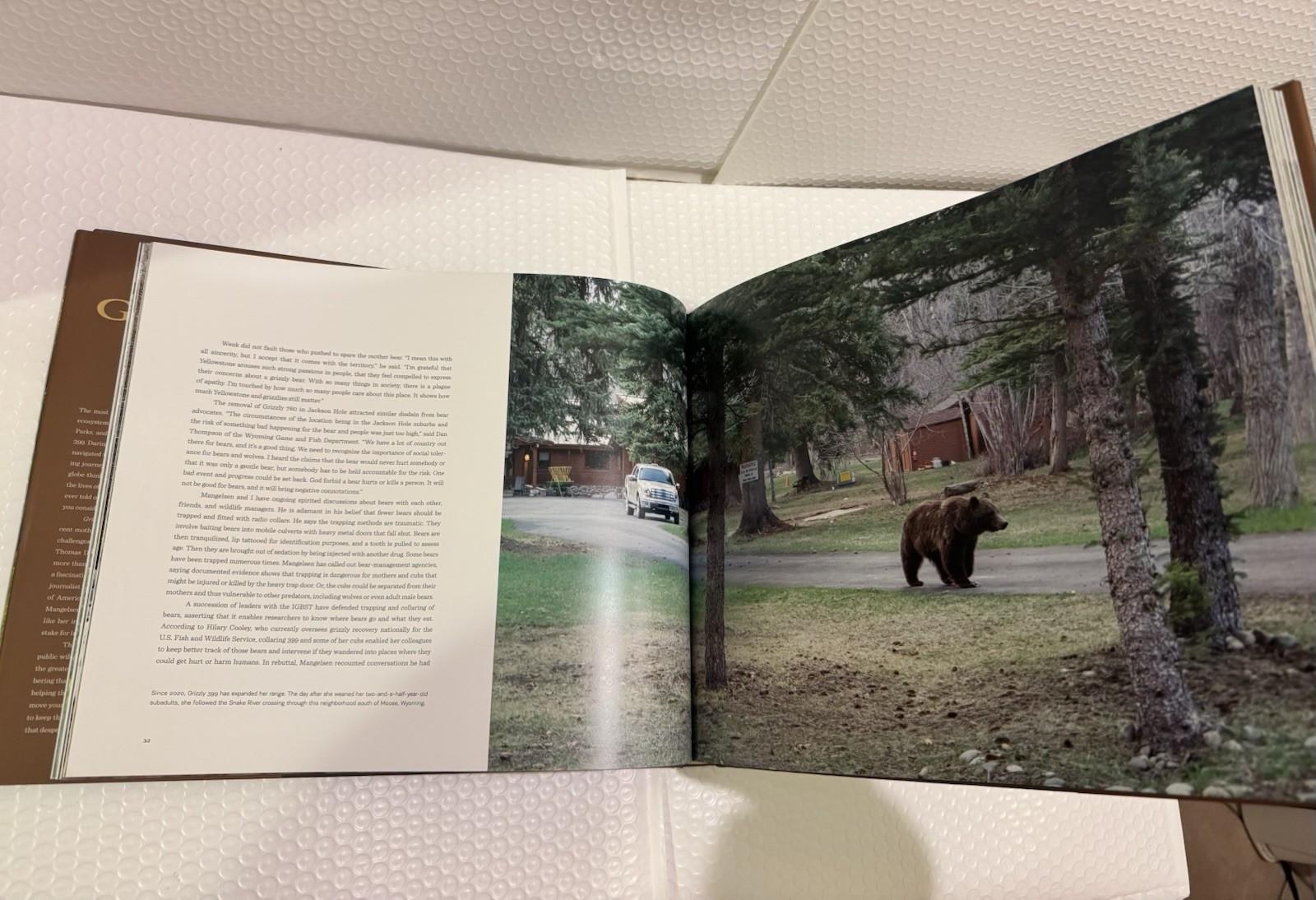 Grizzly 399: World’s Most Famous Mother Bear, The by Thomas D. Mangelsen HC .