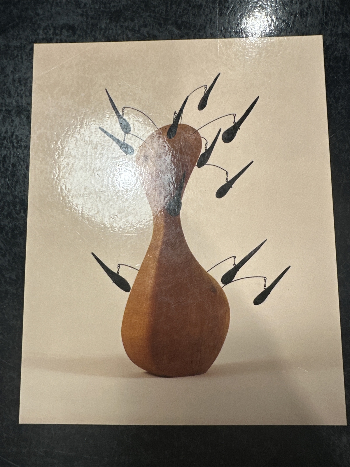 Alexander Calder 1898-1976 Art Book National Gallery Exhibition 1998 Printing