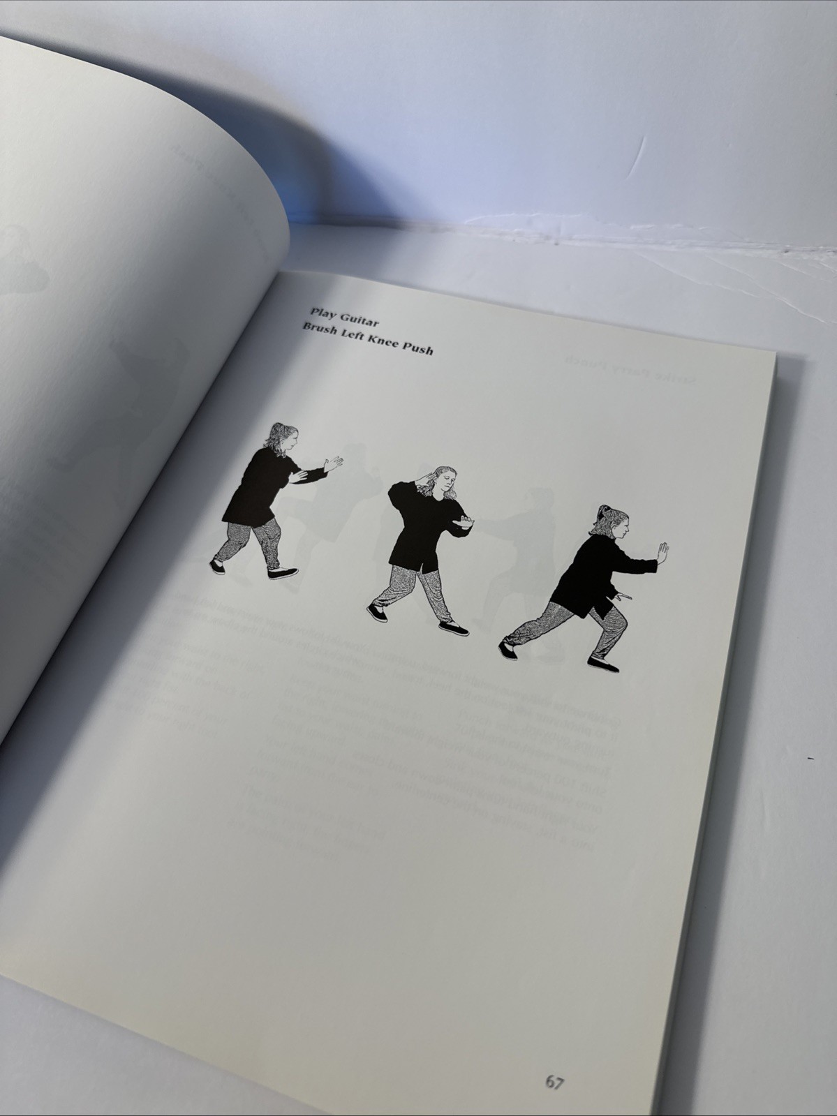 Tai Chi Chuan : Yang Style Long Form by Jane Golden (Paperback, 2006)