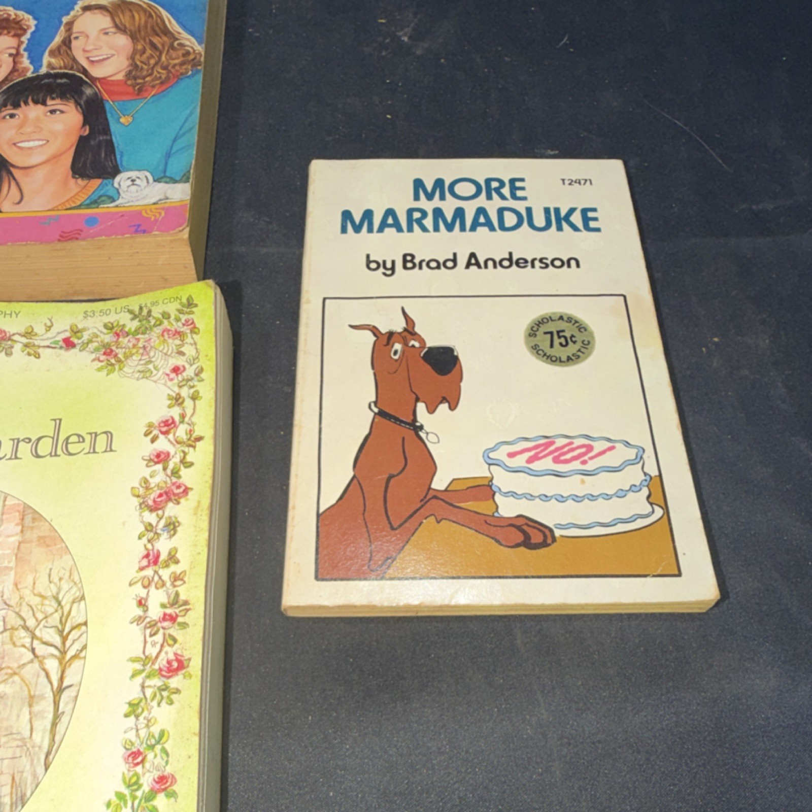 Vintage Children’s Fiction Paperback Lot – Lenski, Blume, White, Burnett, 5 Boo…