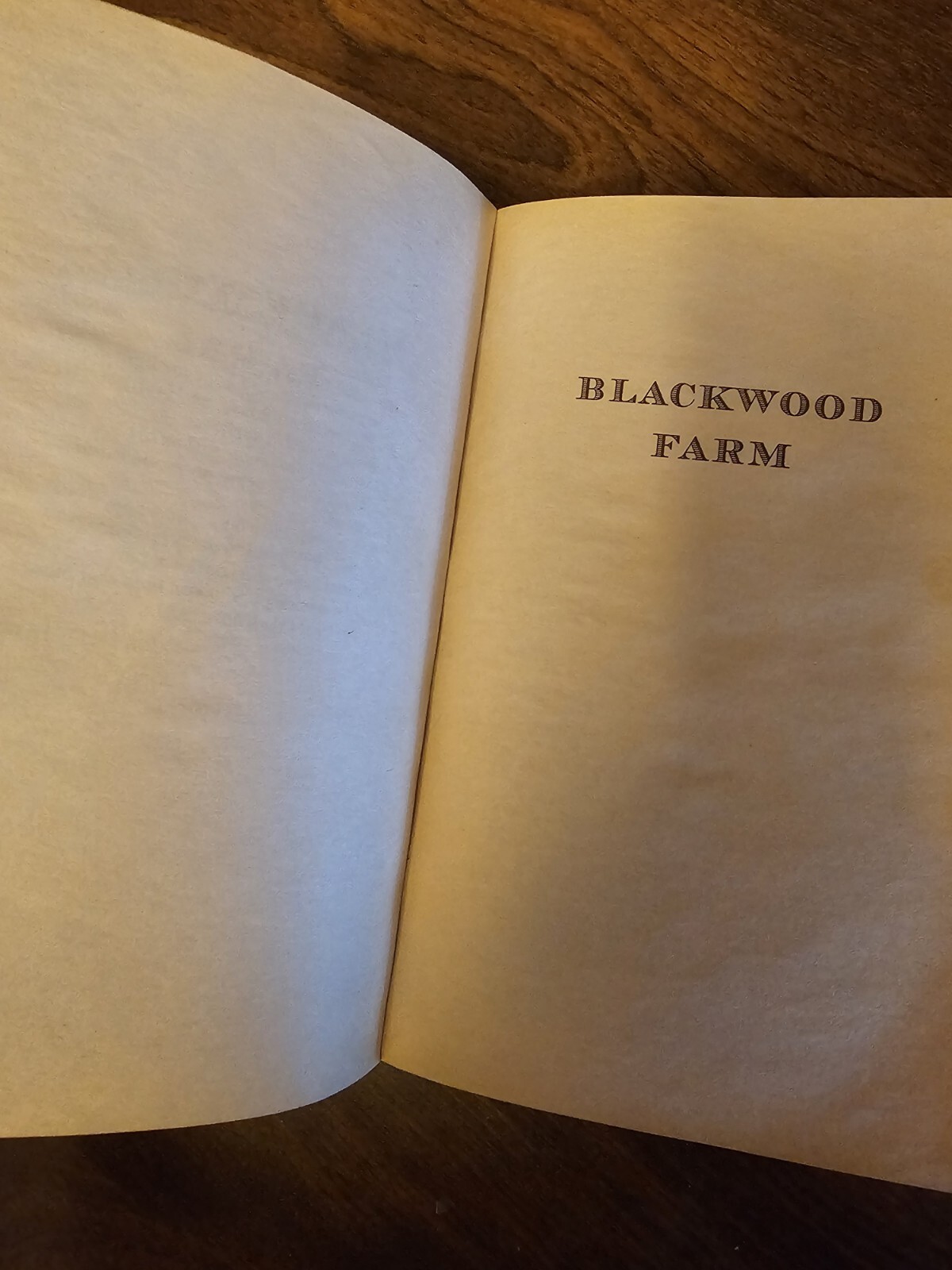 Vampire Chronicles Ser.: Blackwood Farm : The Vampire Chronicles by Anne Rice…
