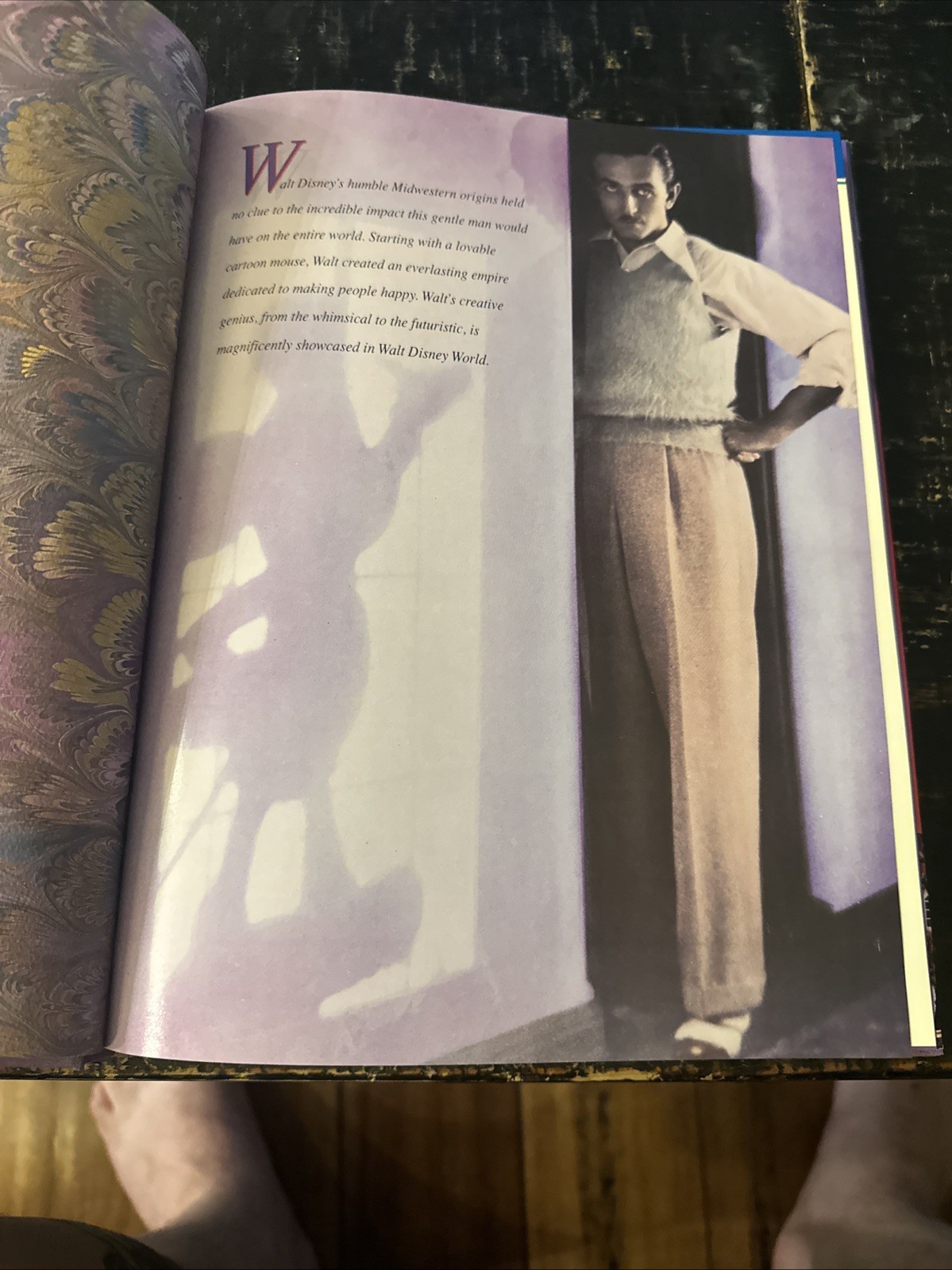 Walt Disney World Disney Kingdom Editions Purple Hardcover Book with Dust Jacket
