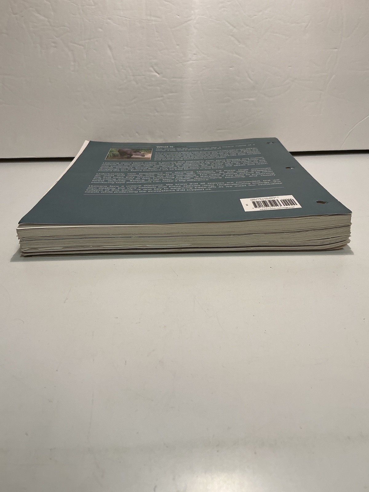 Biology: The Essentials 2025 Release by Marielle Hoefnagels (LOOSE-LEAF)