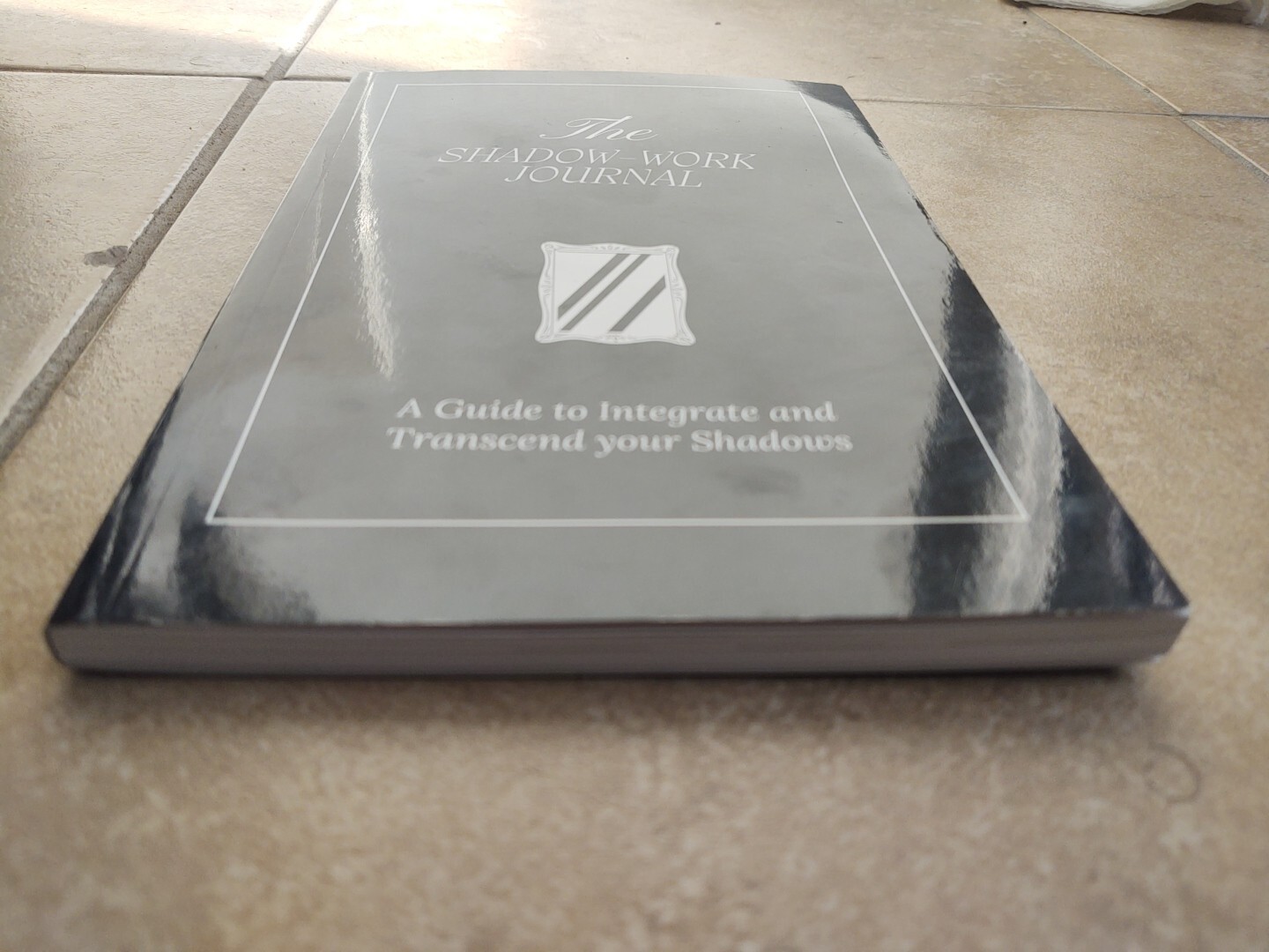 THE SHADOW WORK JOURNAL Guide Integrate & Transcend Your Shadows Self Help Book