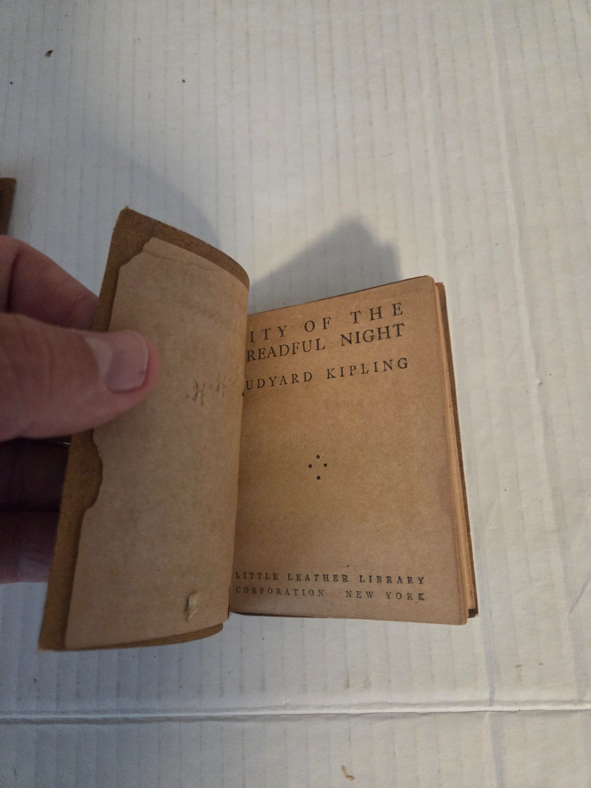 Little Leather Library – Antique Books – City of Dreadful Night & Snowbound