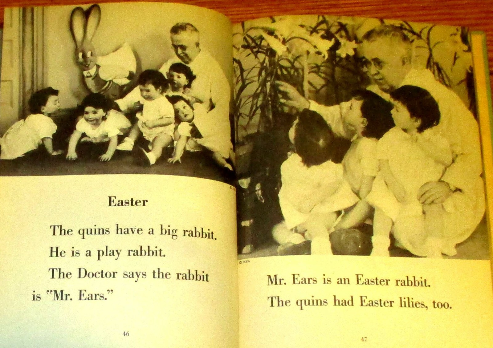The Quins‘ Book SIGNED by Jean Ayer 1937 114 Pages H/C Photograph Book RARE!!