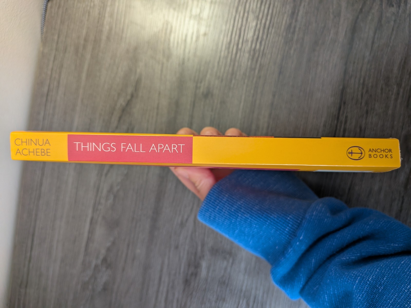 Chinua Achebe Things Fall Apart – Bestseller, Classic 1994 Black History Month