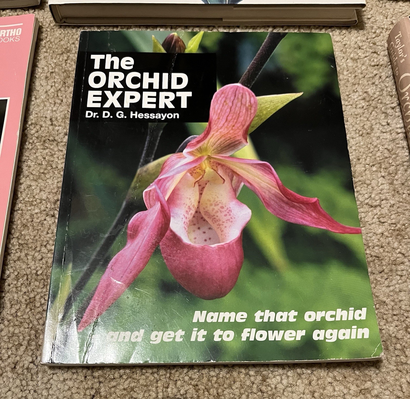 All About Growing ORCHID Flowers Garden Expert Guide Book Illustrated Lot x6 VG