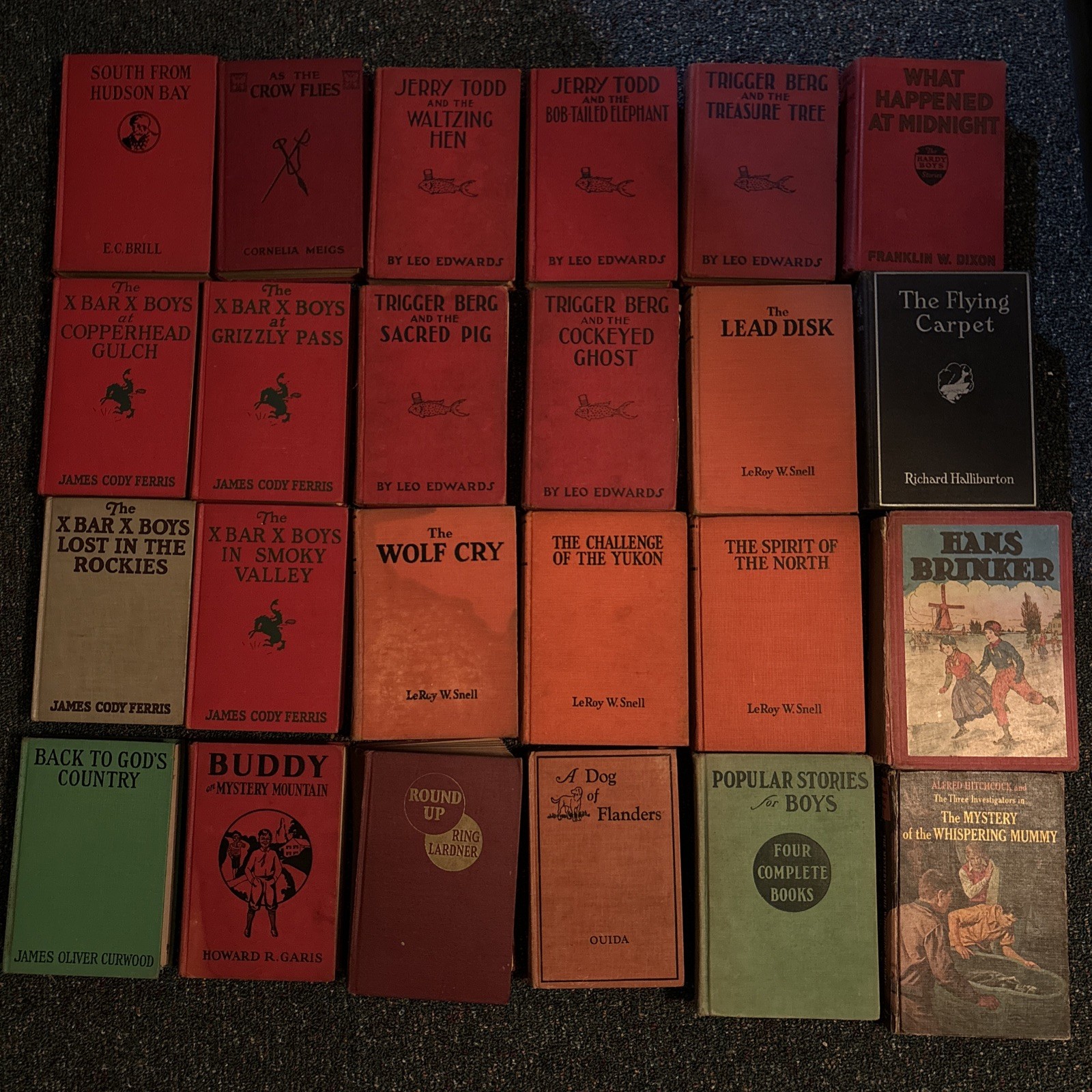 Lot of 24 Vintage Books for Boys 20’s 30’s Hardback Adventure Western Wilderness