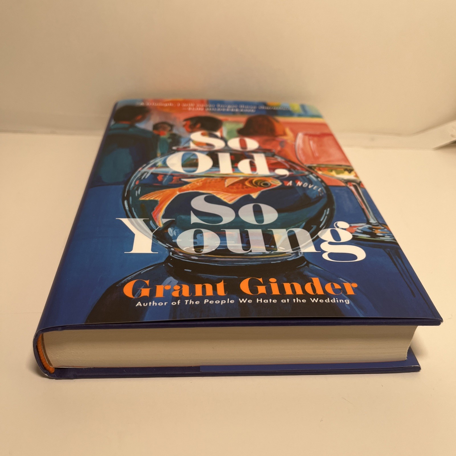 So Old, So Young : A Novel by Grant Ginder (2026, Hardcover)