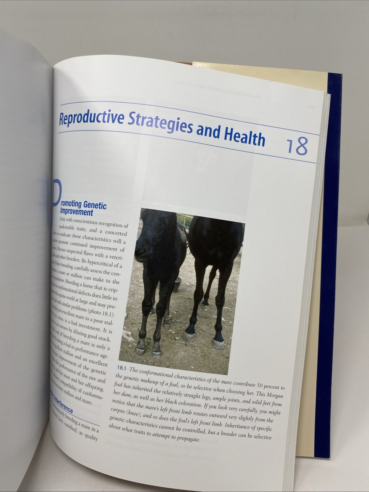 All Horse Systems Go The Horse Owner’s Full-Color Veterinary Care FREE SHIPPING!
