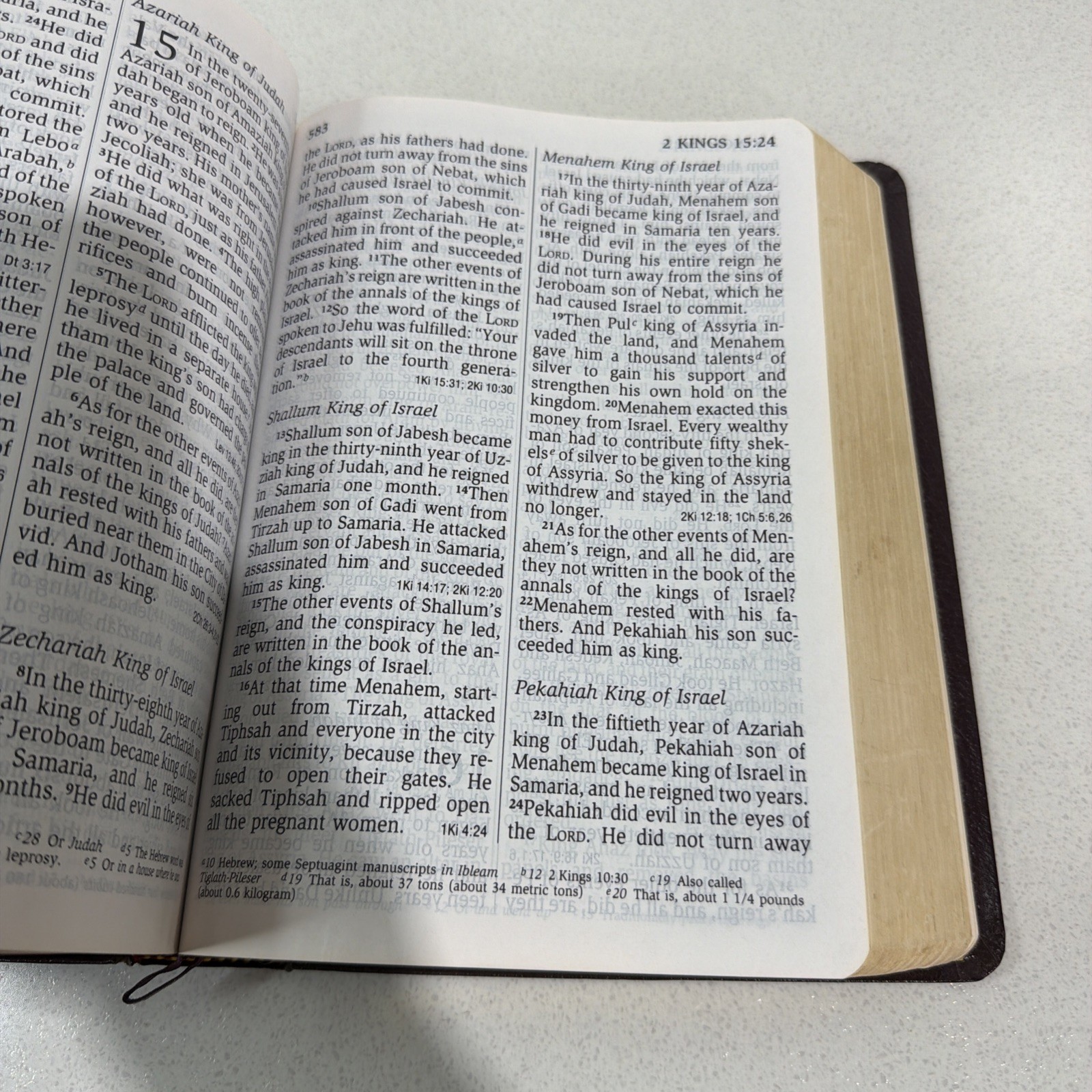 NIV 1984 Giant Print Reference Bible – Burgundy Imitation Leather