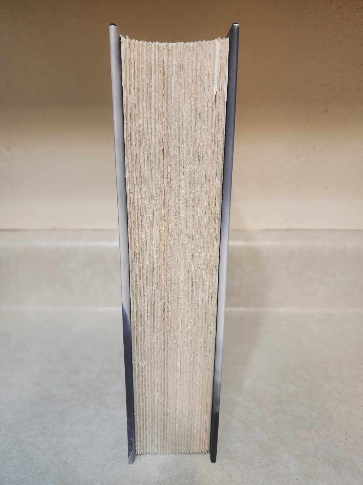 Tom’s Crossing : A Novel by Mark Z. Danielewski (2025, Hardcover) 1st Edition