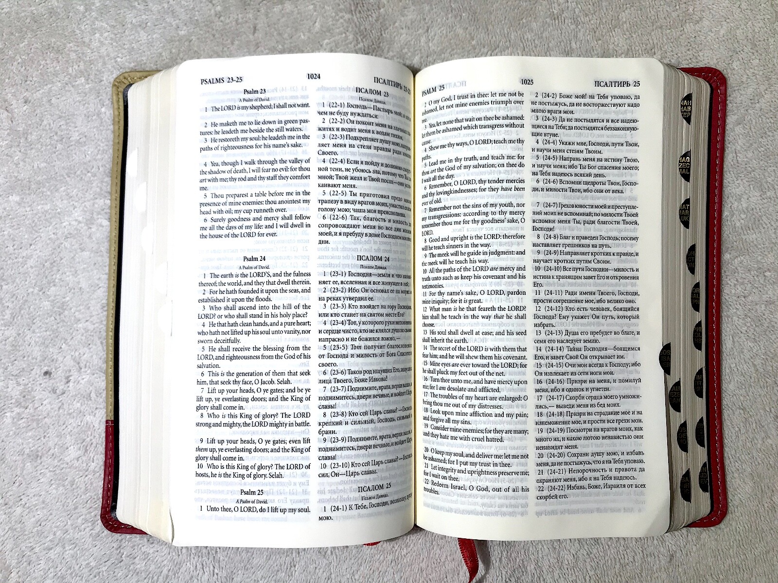 Russian/English Parallel Bible, Tan Cherry, ImitationLeather,Synodal/King James