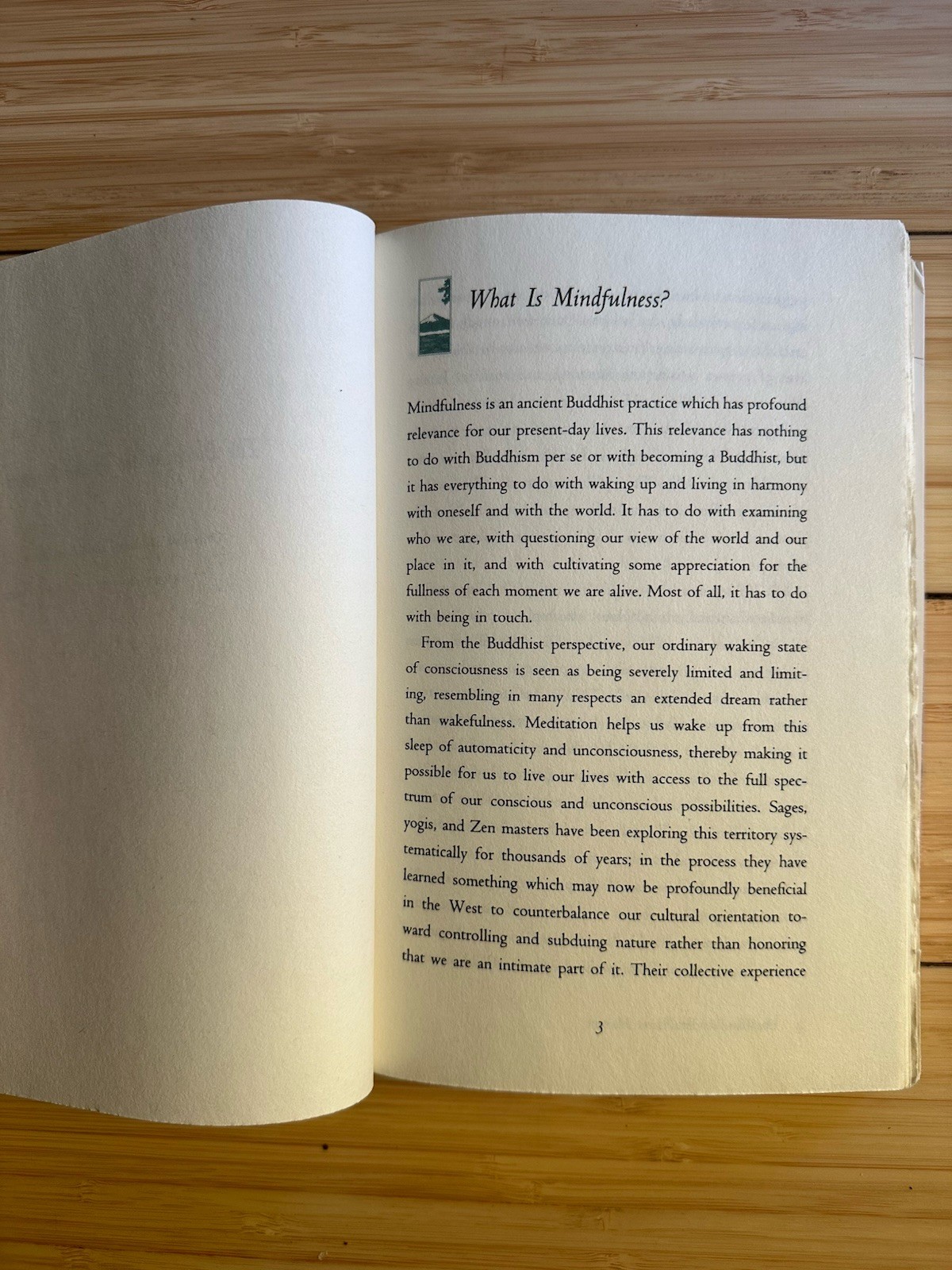 Wherever You Go There You Are – Mindfulness Meditation in Life by Jon Kabat-Zinn