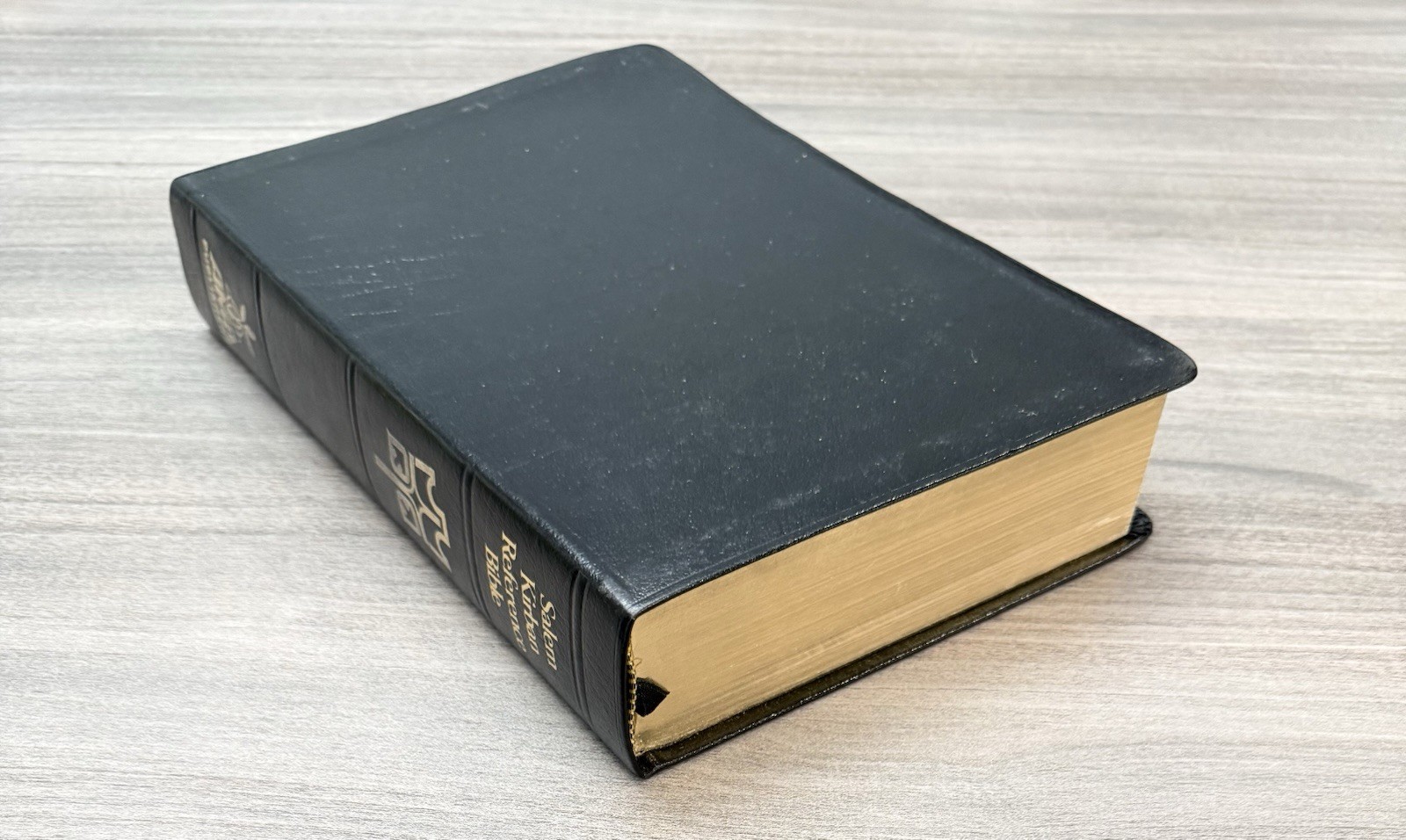 UNMARKED Salem Kirban Reference Bible KJV Bonded LEATHER King James Version AMG