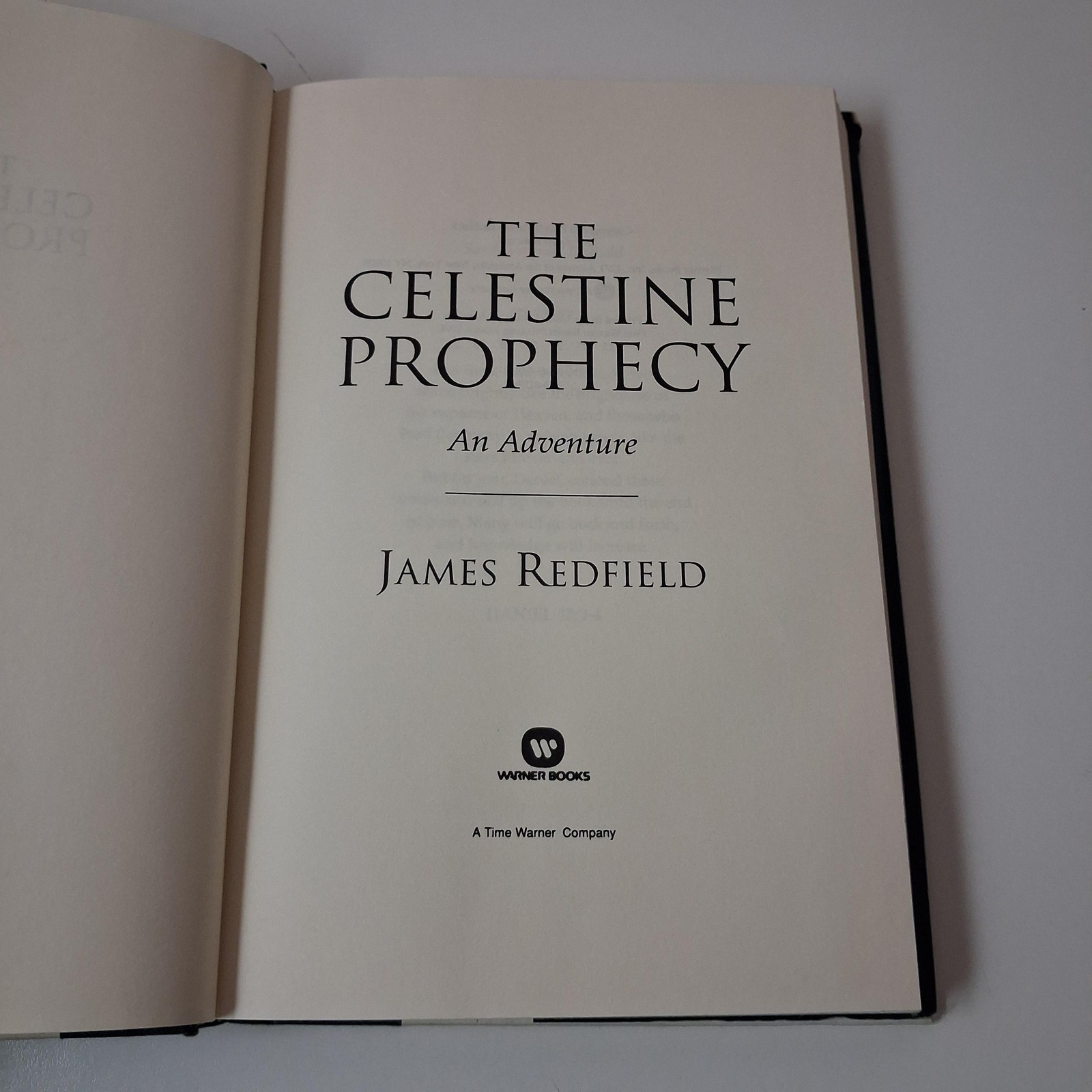 Vintage 1994 Celestine Prophecy James Redfield Warner Blue HC DJ USA Spiritual