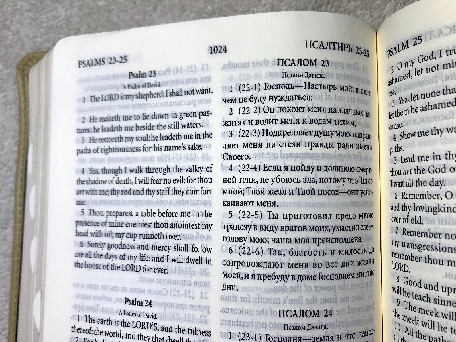 Russian/English Parallel Bible, Tan Cherry, ImitationLeather,Synodal/King James