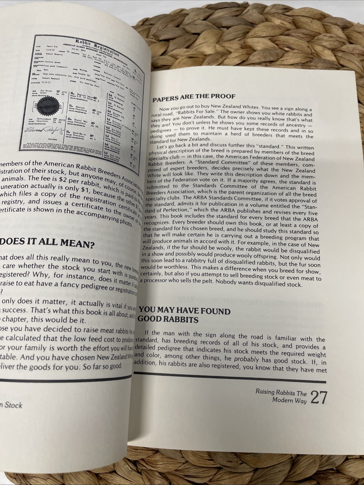 Raising Rabbits The Modern Way Livestock Homesteading Paperback Book Bob 1976