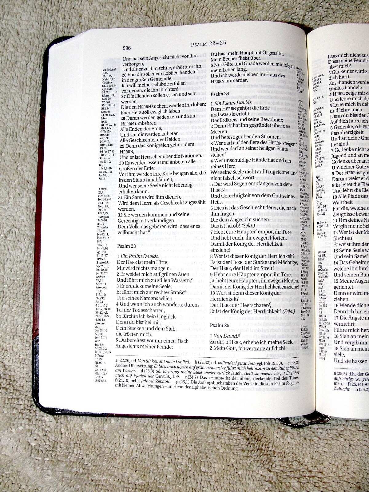 German Bible, Die Bibel, Schlachter 2000, Imitation Leather, Brown Black 2-toned