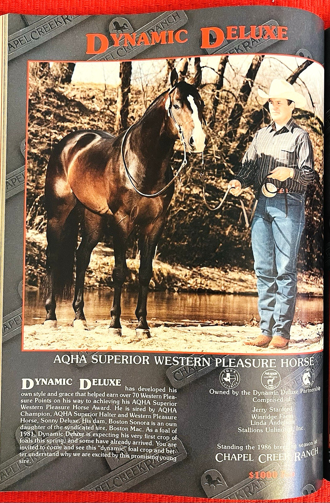 SALE ENDS 6/15! 1986 QUARTER HORSE JOURNAL Book – DYNAMIC DELUXE, ZAN PARR BAR