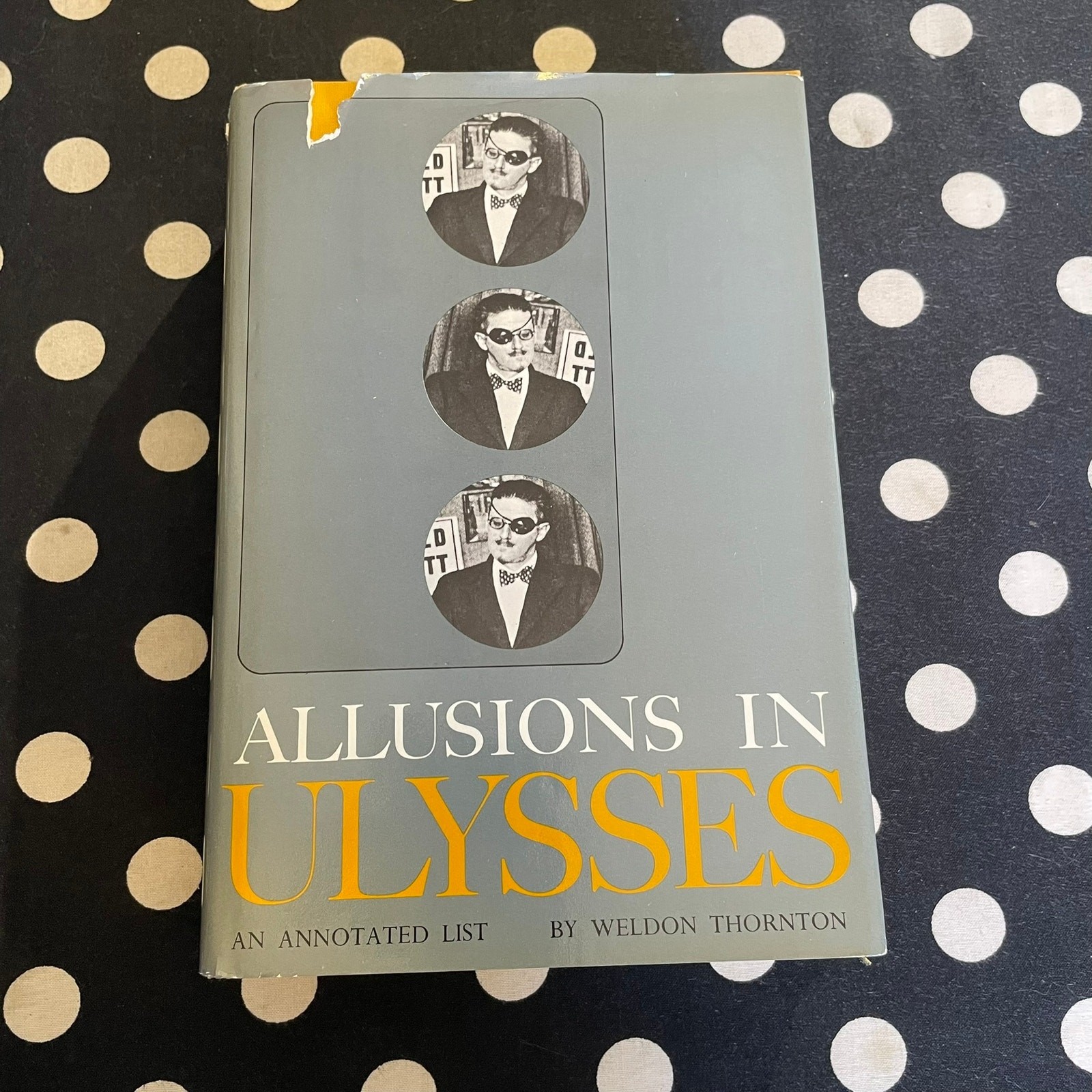 Allusions in Ulysses: An Annotated List by Weldon Thornton 1968 Hardcover 1st Ed