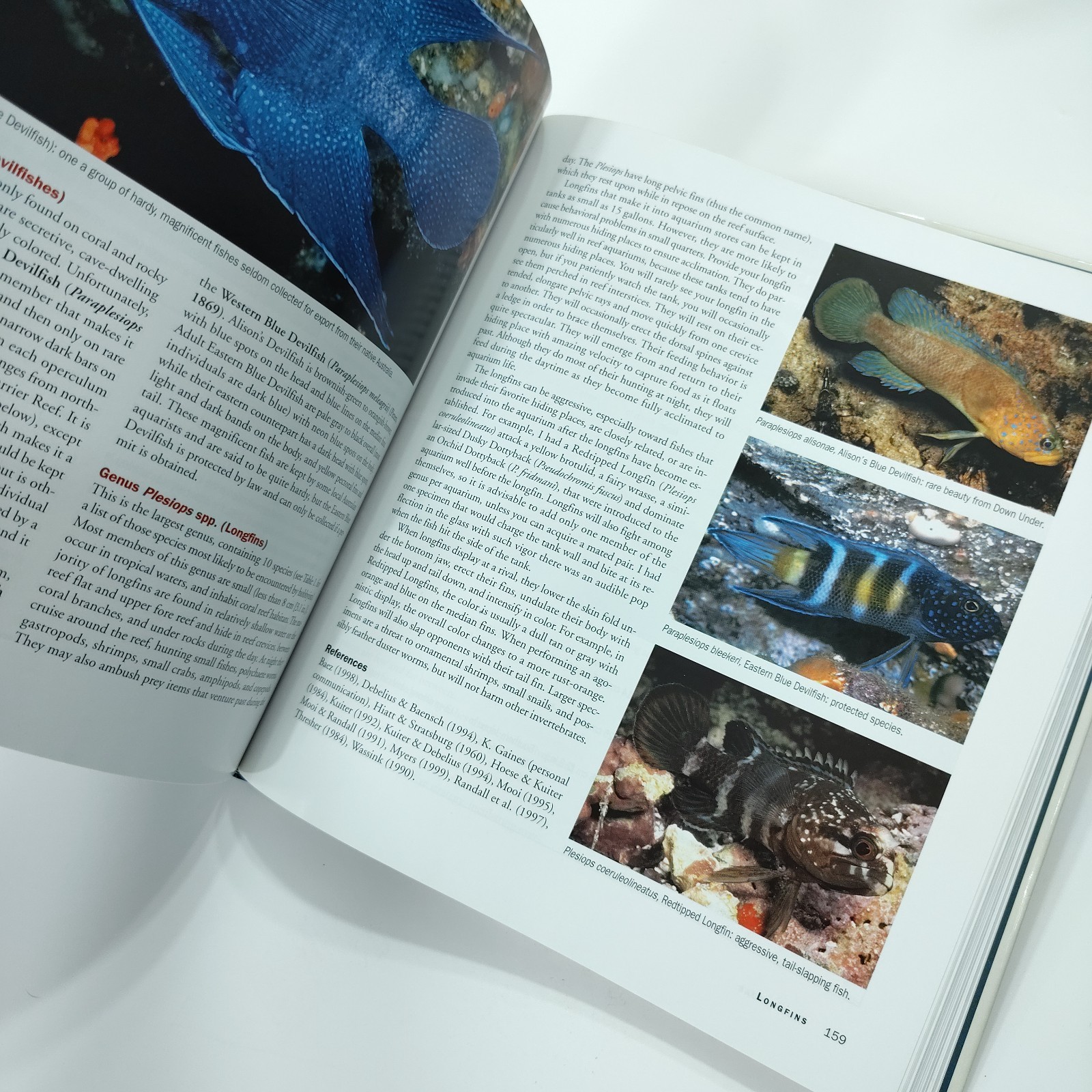 Basslets, Dottybacks & Hawkfishes [Like New] Scott Michael Aqarium Fish Families