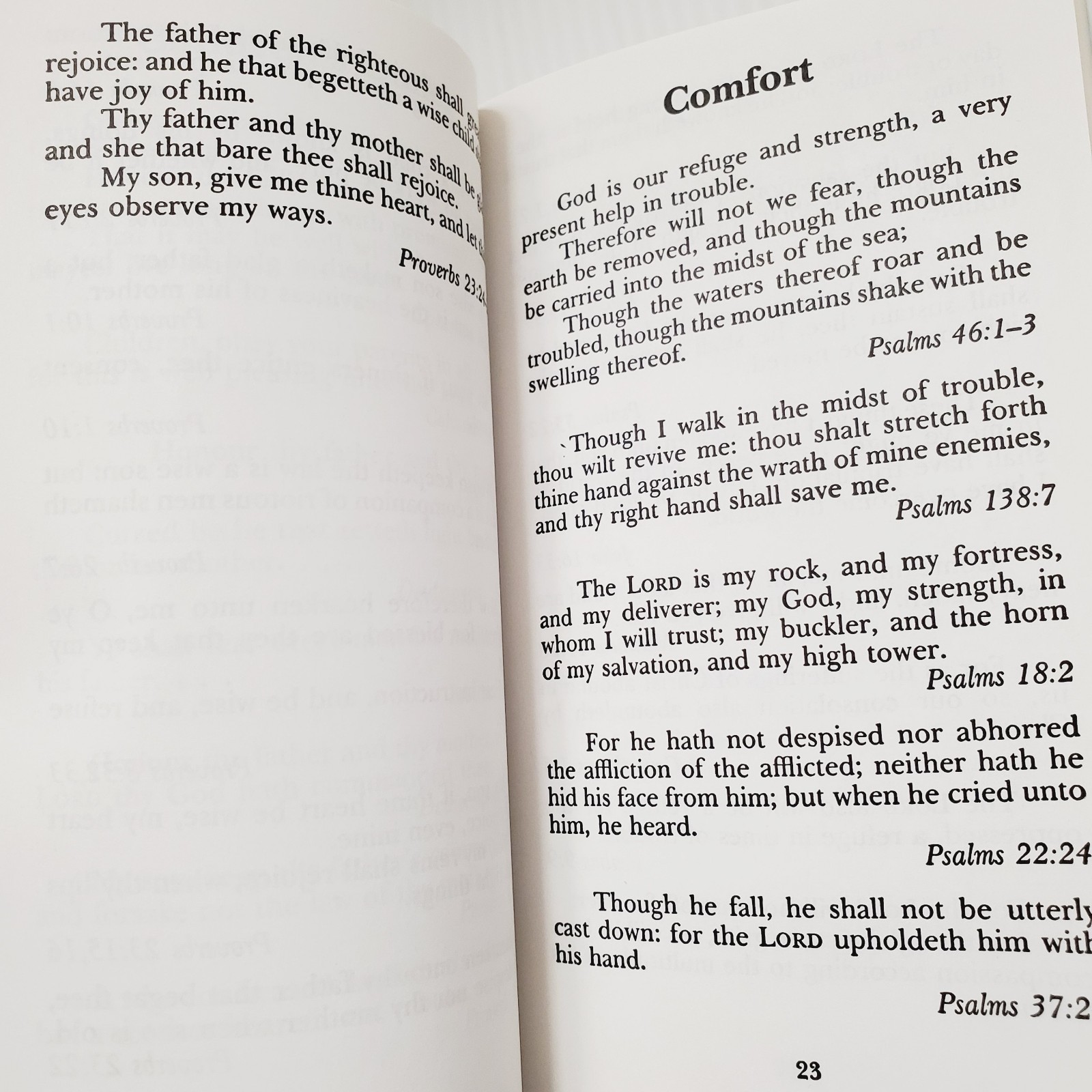 The Bible Promise Book Christian Faith Religion Soft Cover Leather