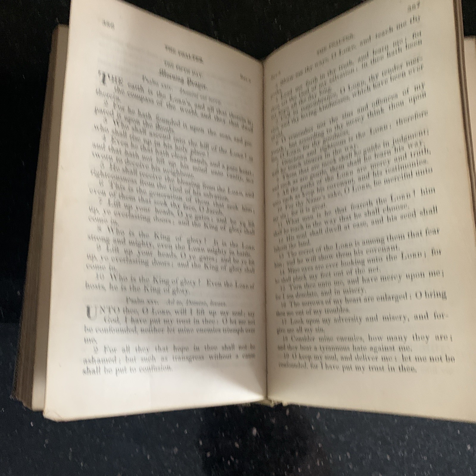 1860 Episcopal Book Of Common Prayer D. Appleton & Company