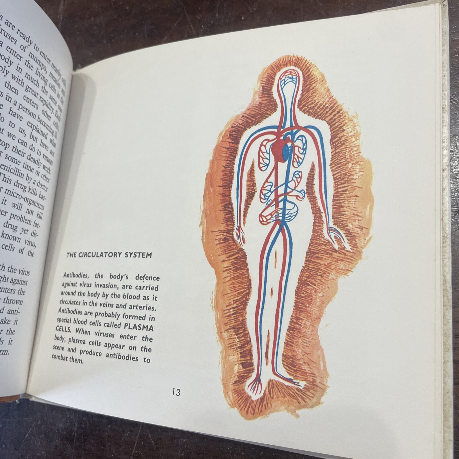 ROY NORRY, VIRUS HUNTER IN AUSTRALIA, SIR MACFARLANE BURNET. HARDCOVER 1966